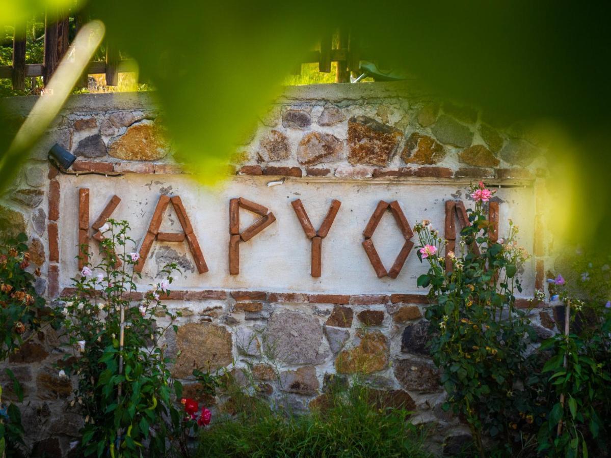 Karyon Apartments Kariófito Kültér fotó