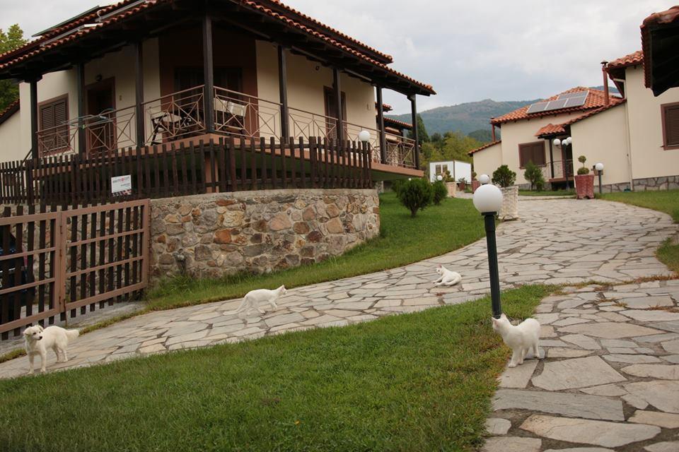 Karyon Apartments Kariófito Kültér fotó